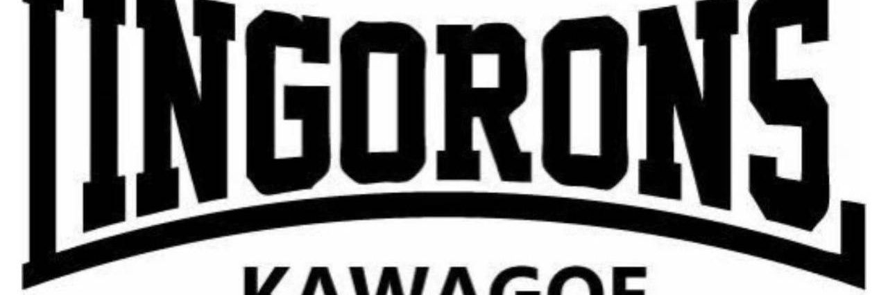 lingorons69's profile banner image