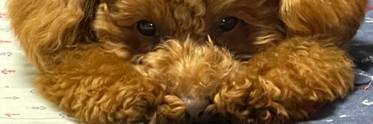 momima123's profile banner image