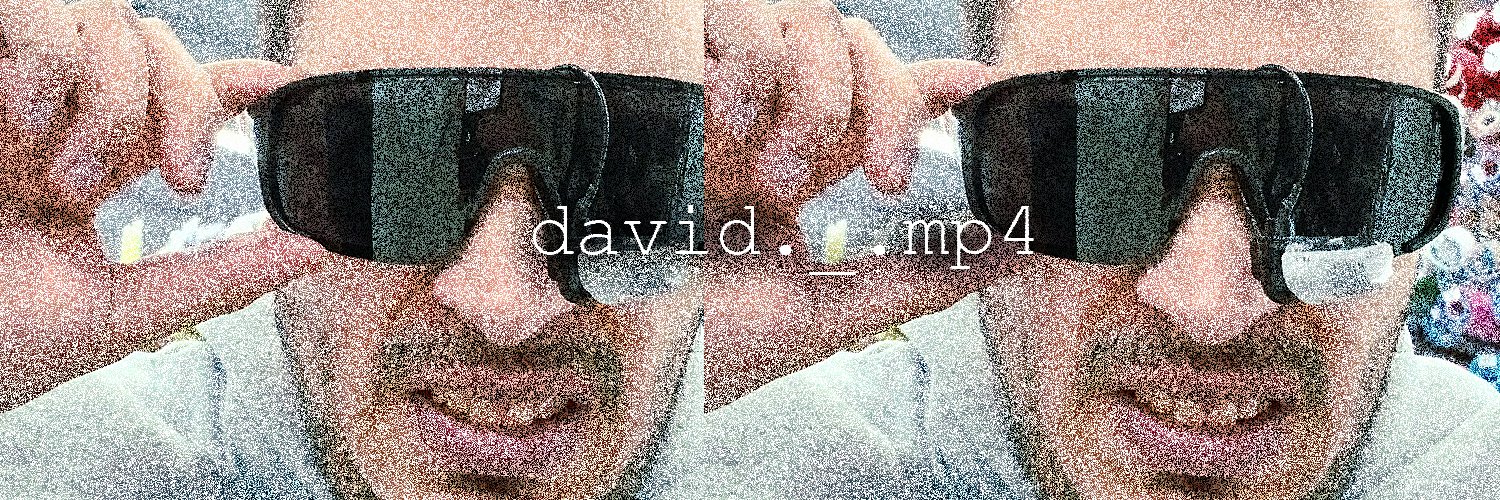 david.mp4 banner
