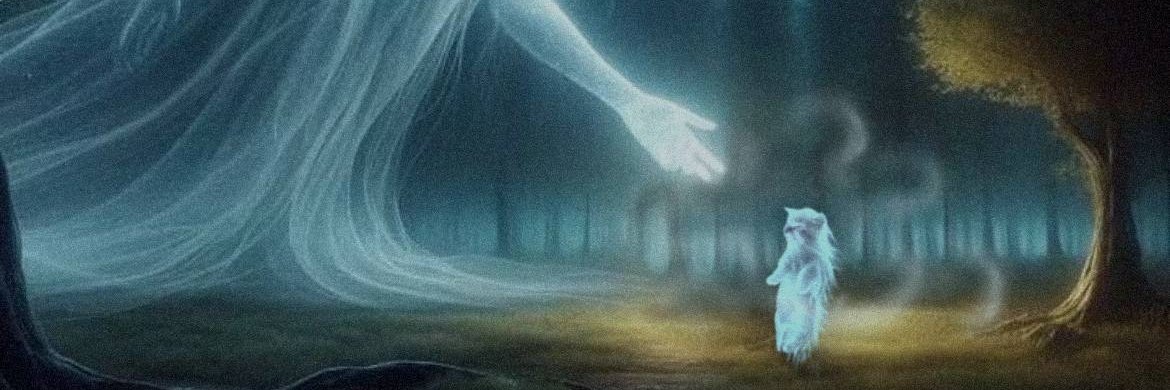 Fredisimosos ❇️ banner