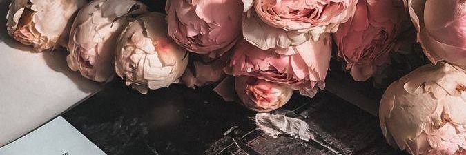 Leyla's banner