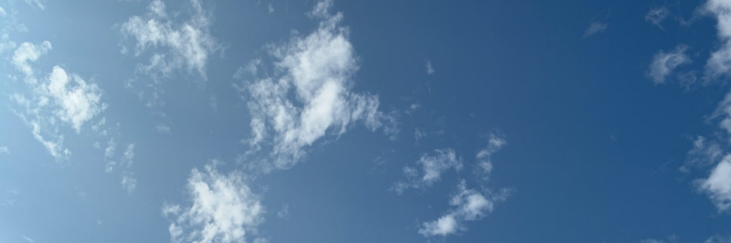 迫田　明衣子 banner