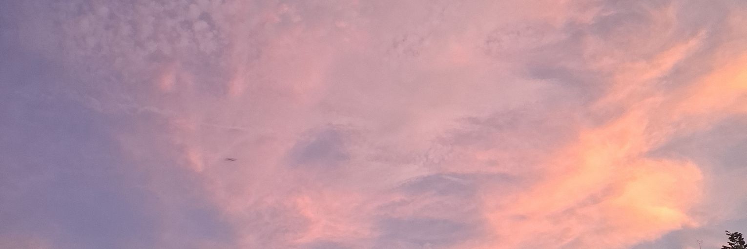 flowringate's profile banner image