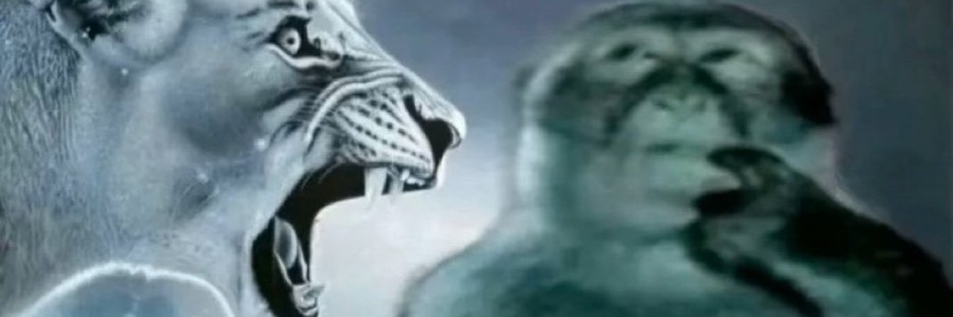 lexfonte's profile banner image