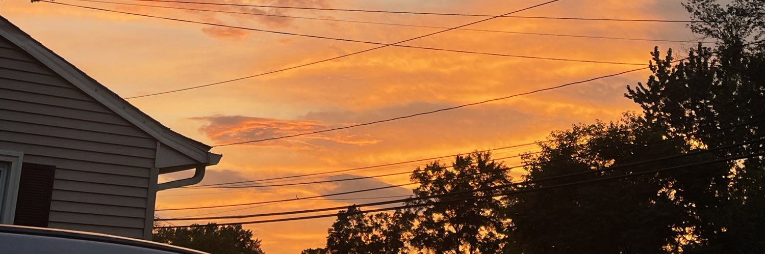FreeRangeThangs's profile banner image