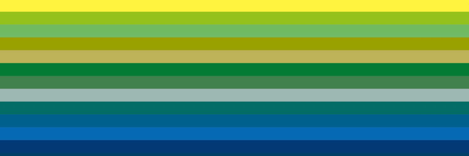 EV Madness's banner