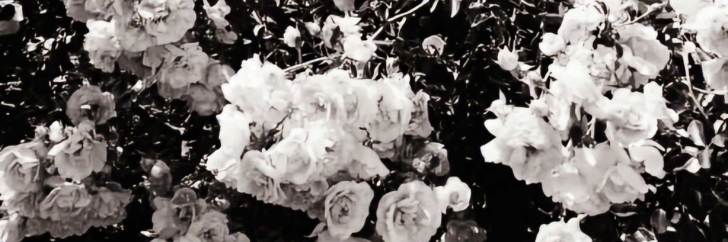 QUEENS00_'s profile banner image
