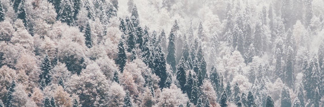 tdfahey's profile banner image