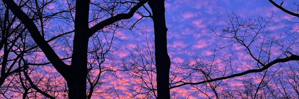 RandolphART Profile Banner