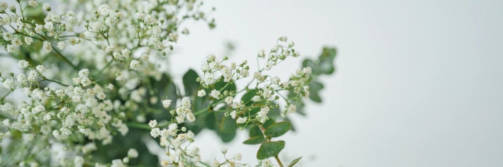 phidiep's profile banner image