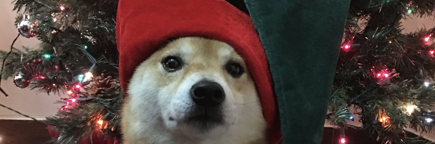 seabeeldo's profile banner image