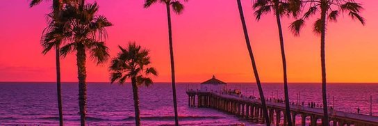 Calisurfer🌴🏄 🌊 banner
