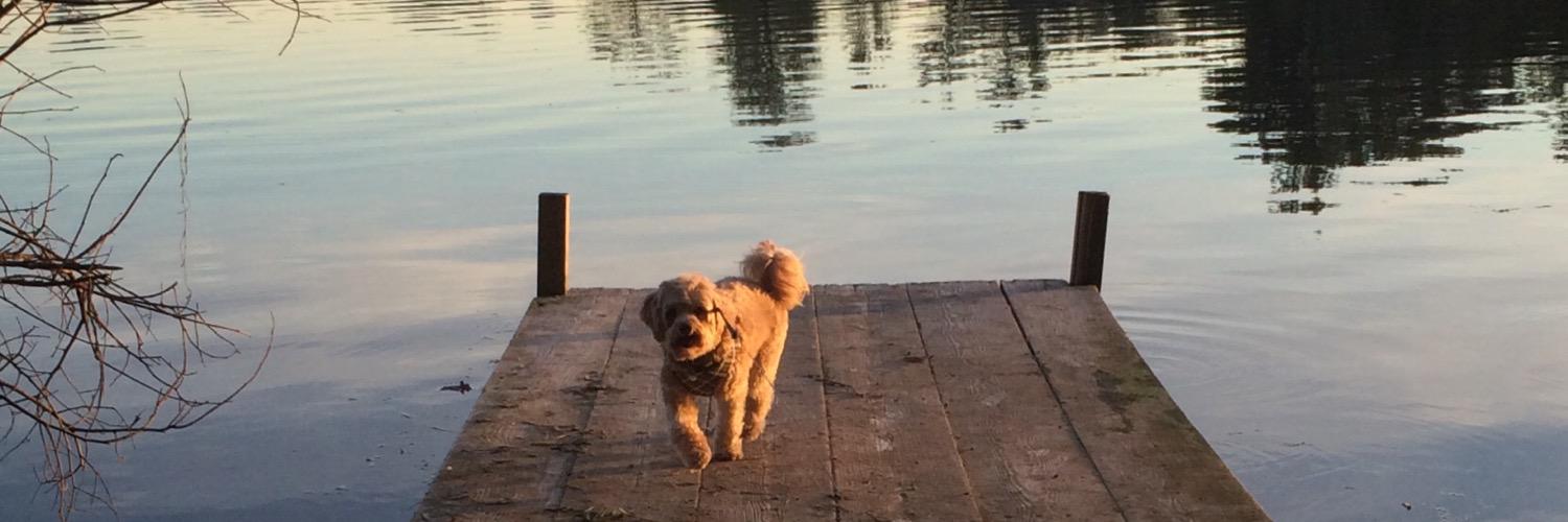 Michelle Uher banner