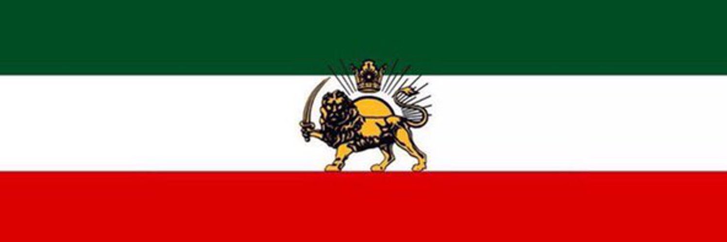 卐FOX⚔️👑🇮🇷 banner