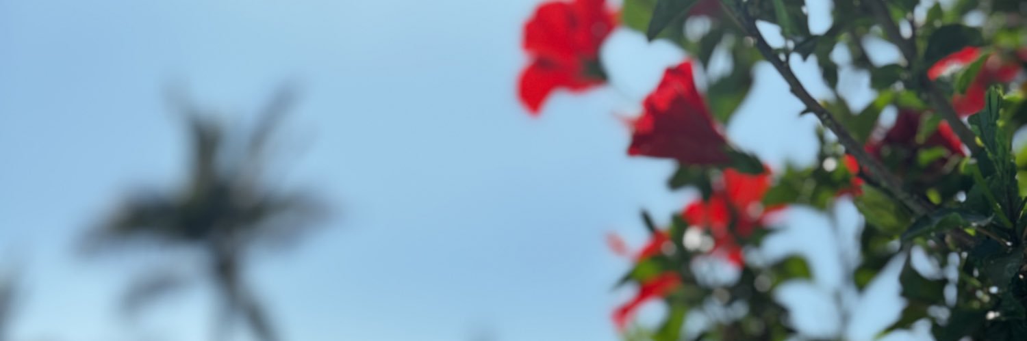 StormsLexi's profile banner image