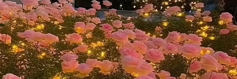 klooda446's profile banner image