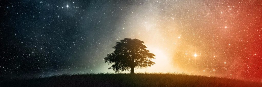 bifocalizado's profile banner image