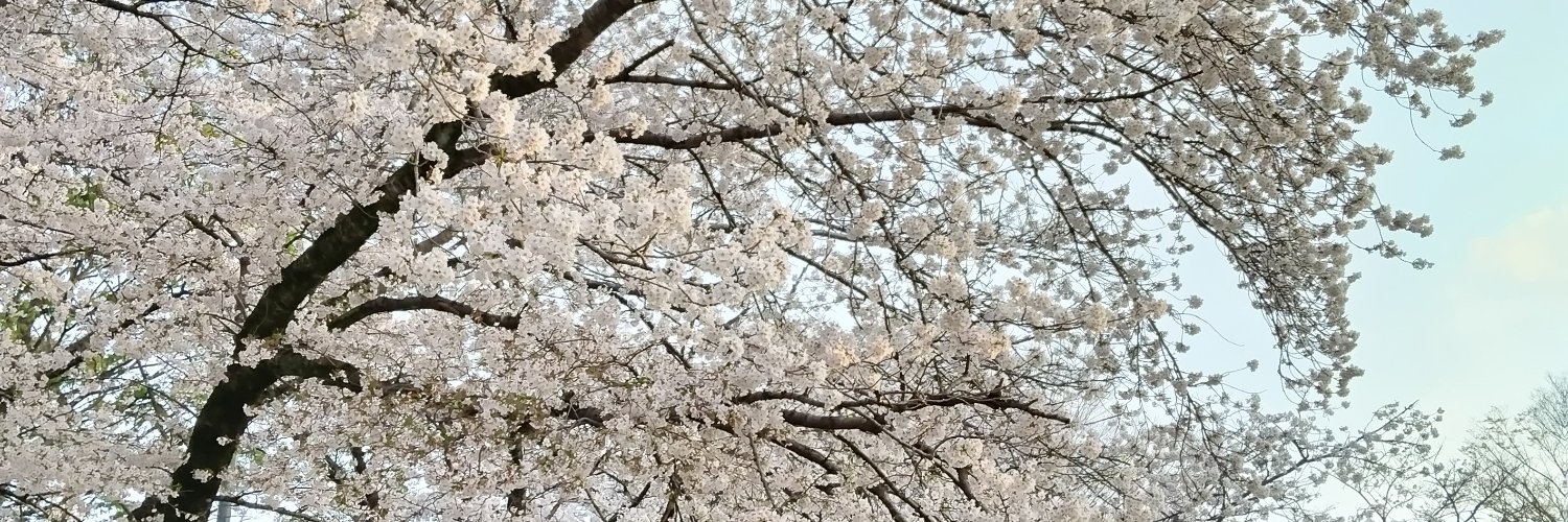 リオ's banner
