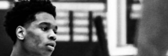 charmon_wolf's profile banner image