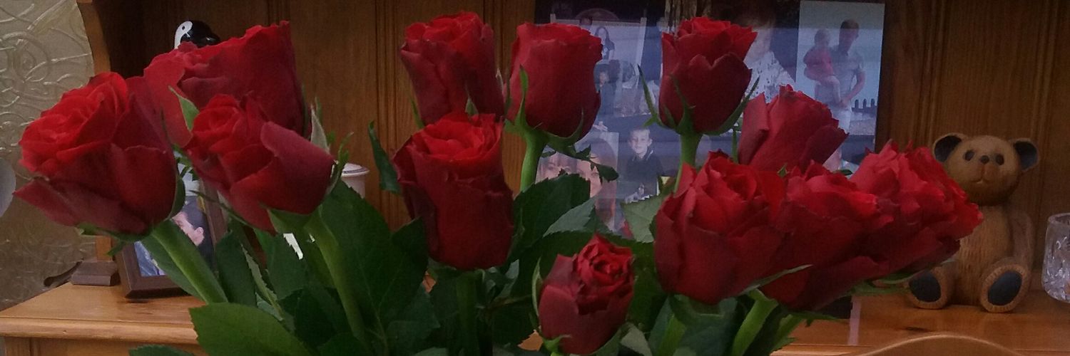 moondollie's profile banner image