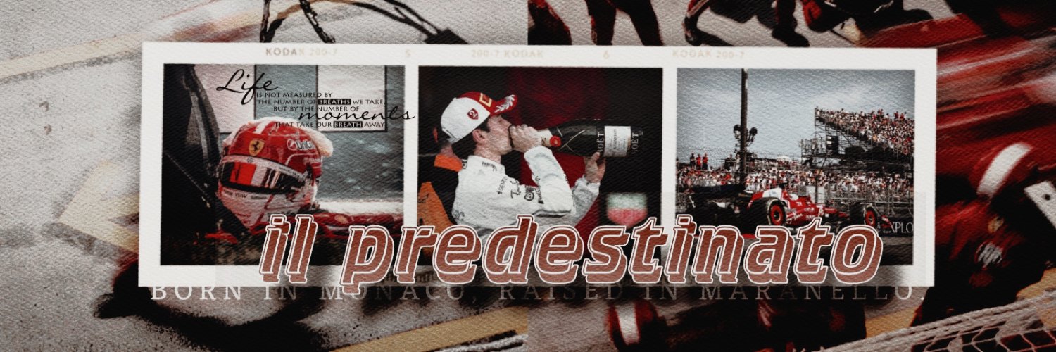 ‍ ‍‍ ‍ ‍‍ ‍ ‍‍⭒ 𝓁𝖾𝖼𝗅𝖾𝗋𝖼, 𝓹𝐞𝐫𝐜𝐞𝐯𝐚𝐥.'s banner