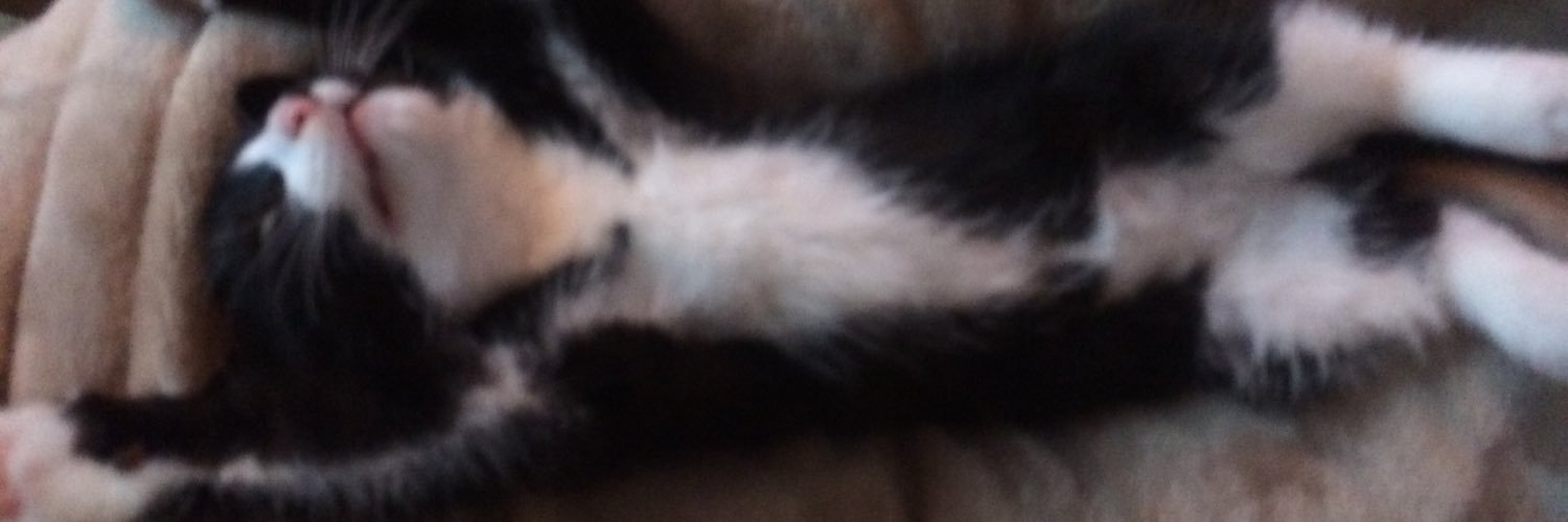 whitneyhooper's profile banner image