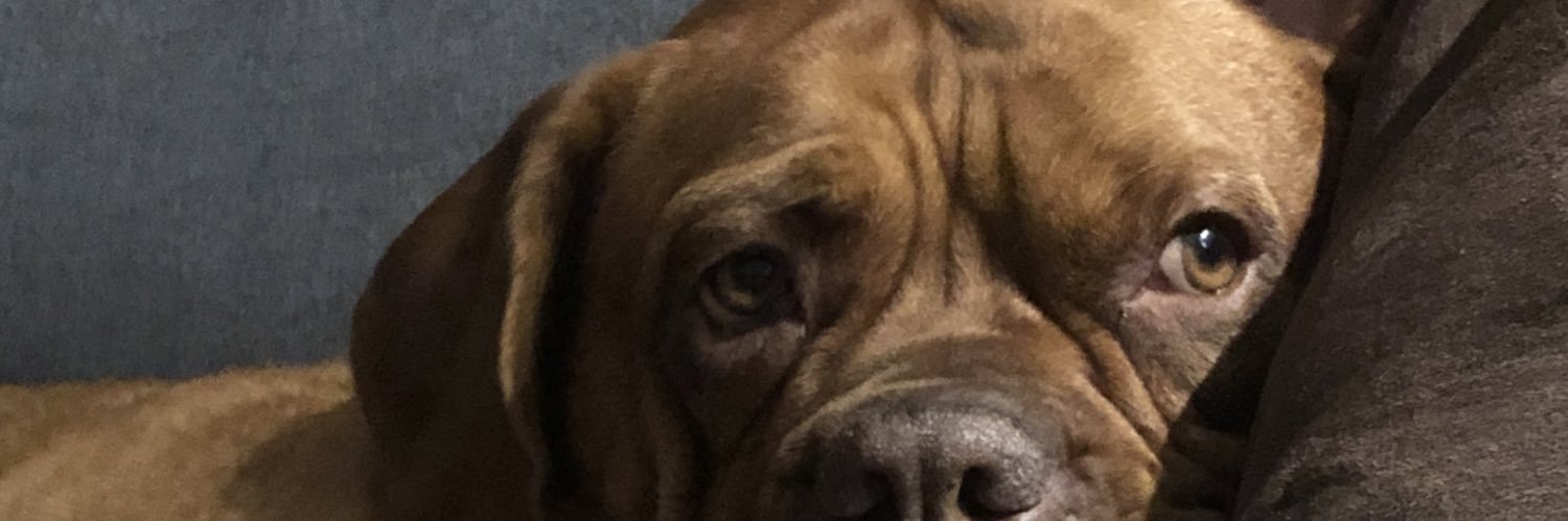 givench_hc's profile banner image