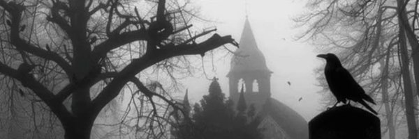 RavenHavnted Profile Banner