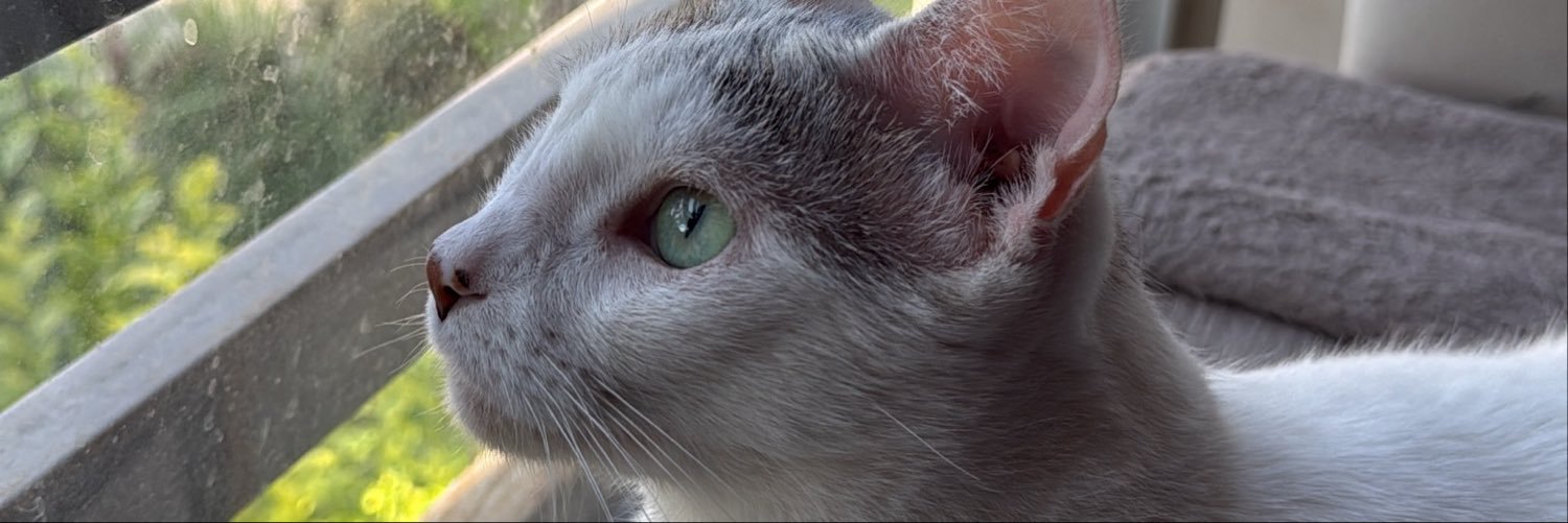 paolamichelle's profile banner image