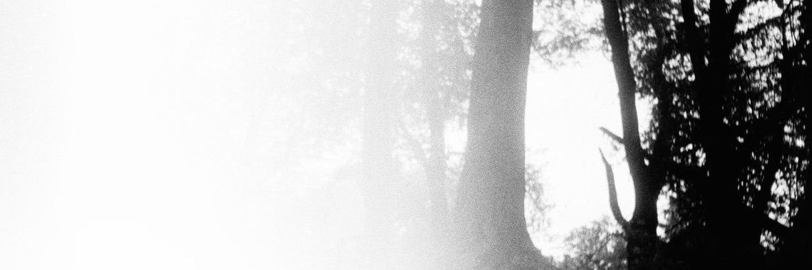 inf_tarantula's profile banner image