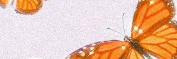 Kaylea__Ballard's profile banner image