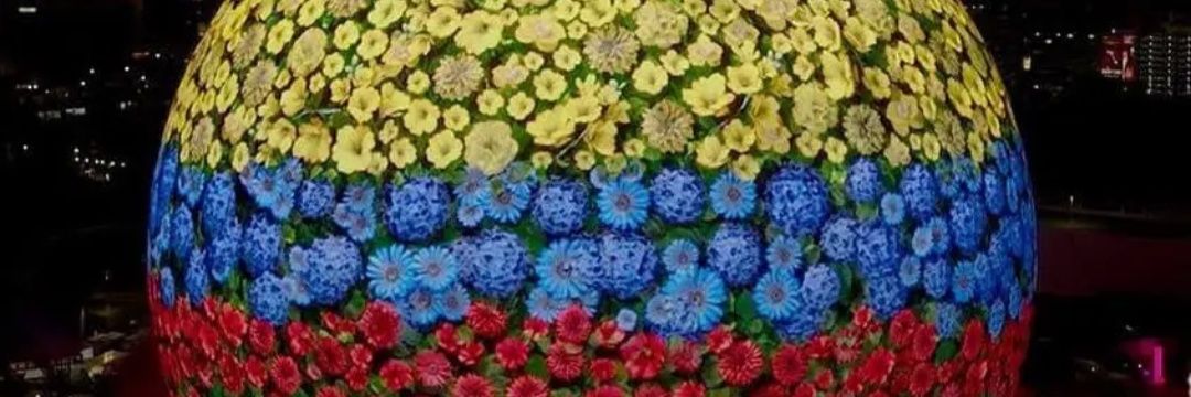 FernandoArbz's profile banner image