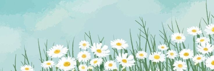 SoulDarkk's profile banner image