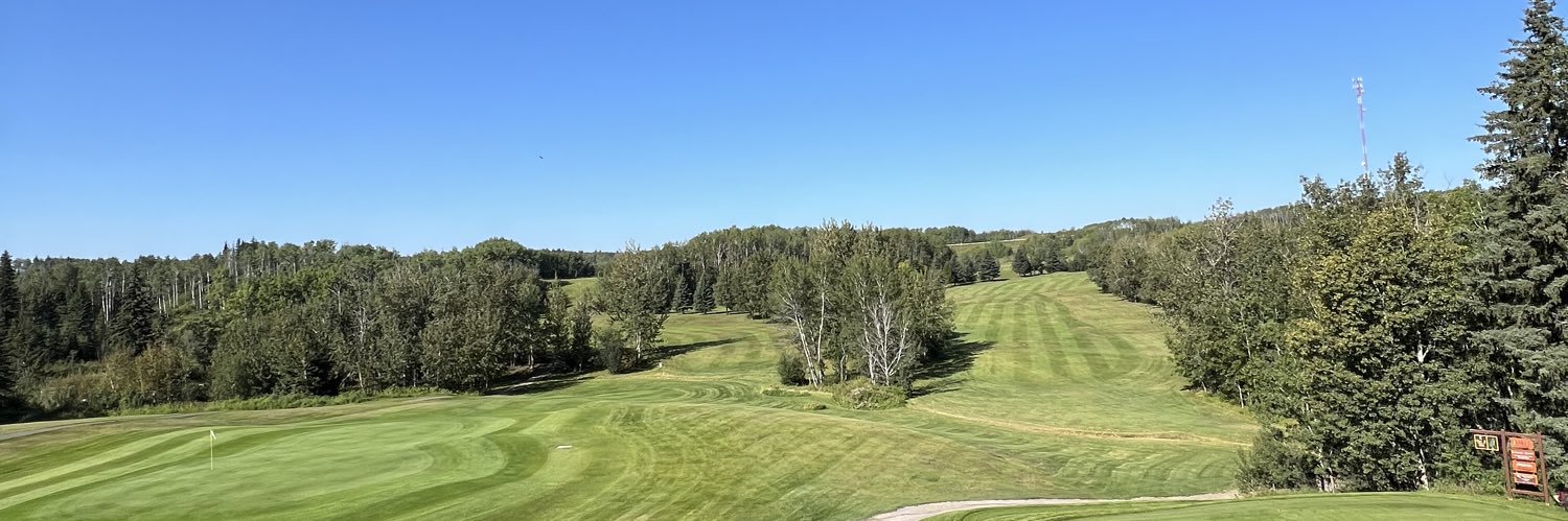 Manny Davidson banner