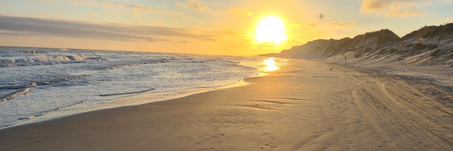 Grammelschmalz banner