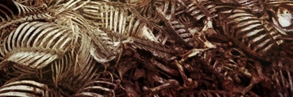 errattas Profile Banner