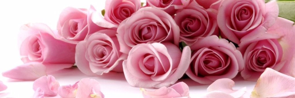 permata_lianaa's profile banner image