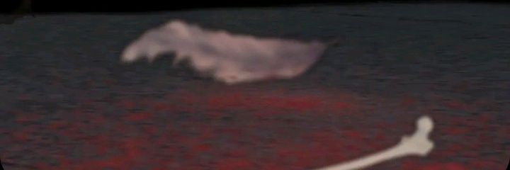 troodypoopydoopy 🌴🌈/🔳🔲 banner