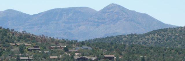 Carol Stanton banner