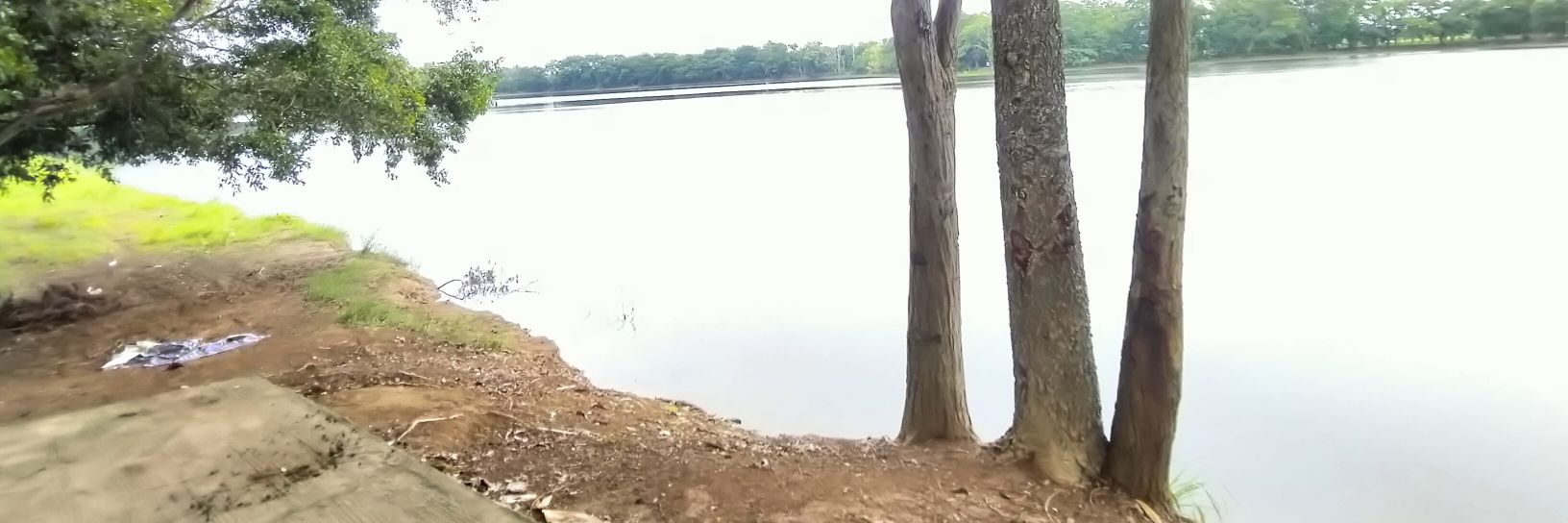 มายมิ้น banner