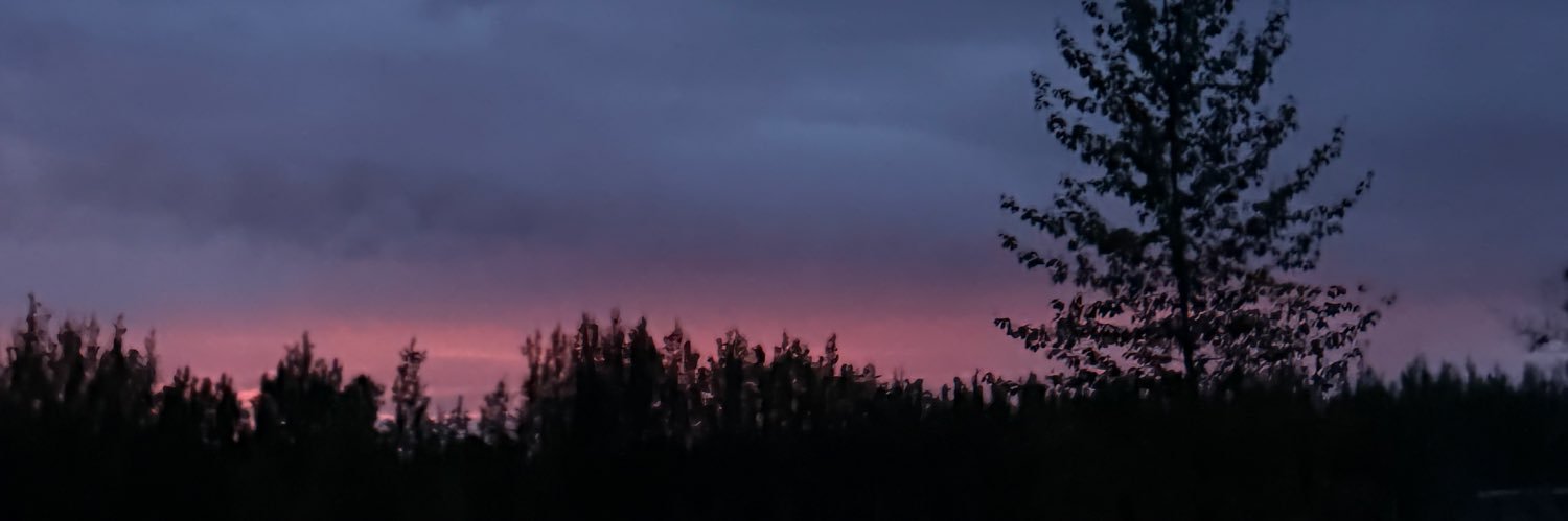 Gothicprincess banner