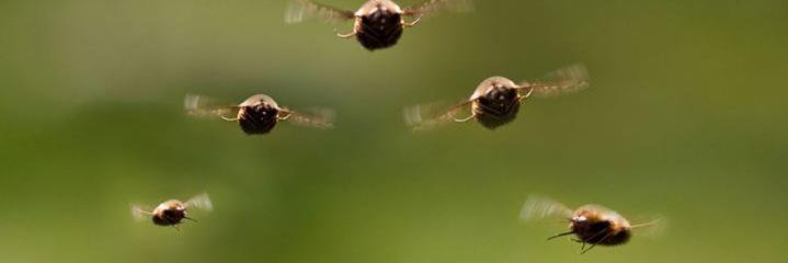 norberttwit's profile banner image