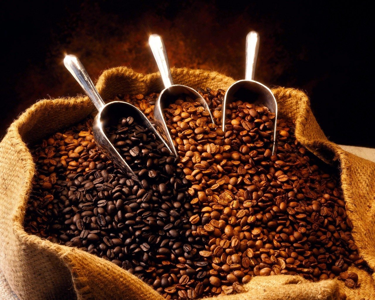 caffettore's profile banner image