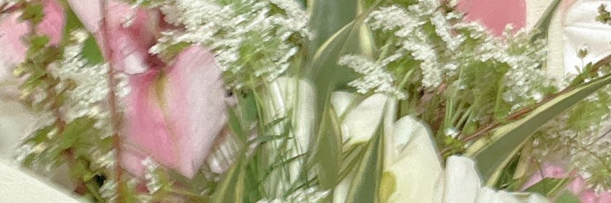 marianut's profile banner image