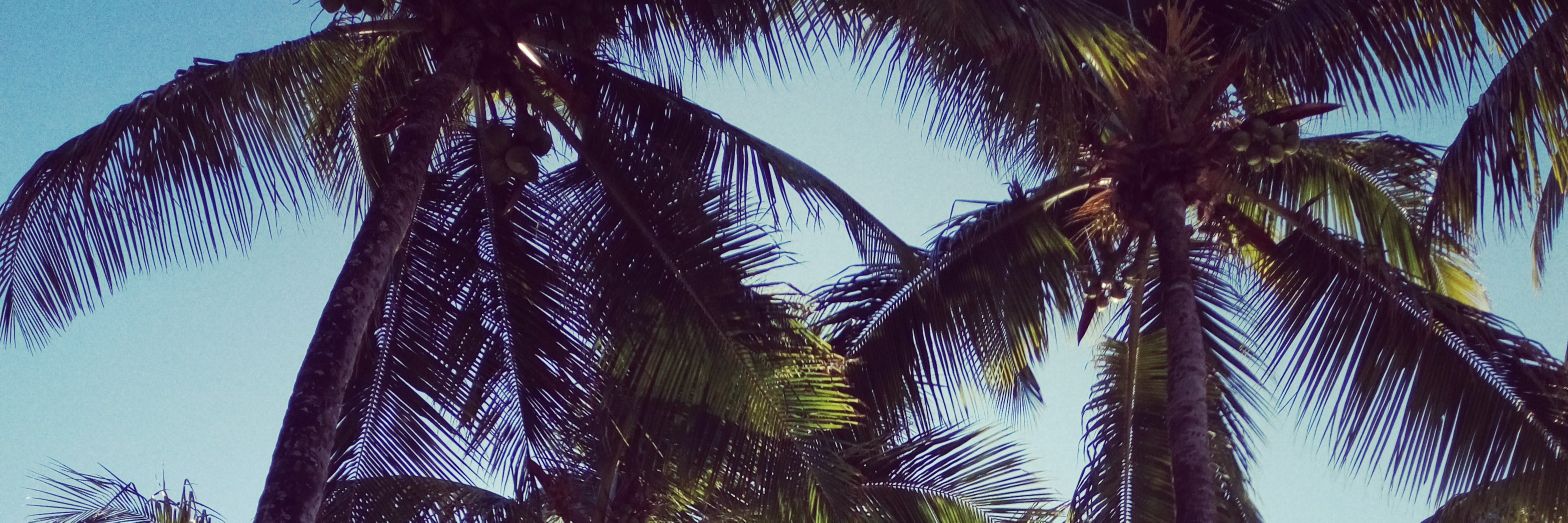 patovergaraf's profile banner image