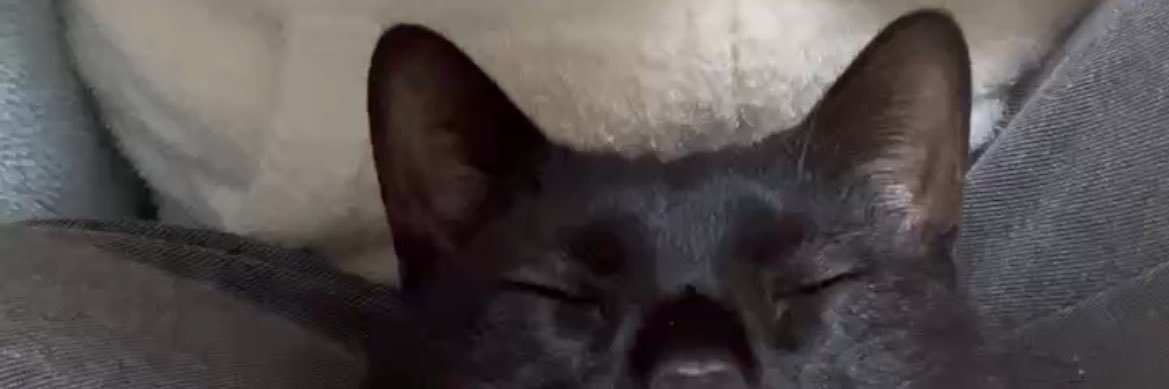 rioldmaru's profile banner image