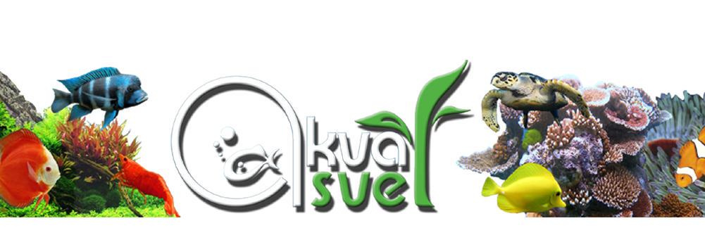 akvasvet's profile banner image