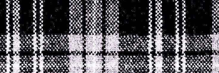 aisha banner