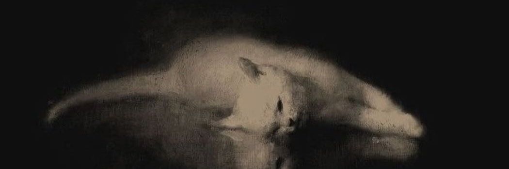 kay banner