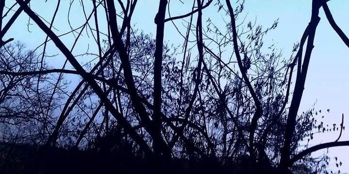 Rknr7964's profile banner image